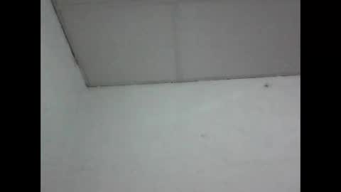 R online show from May 2026 04:39:02 AM