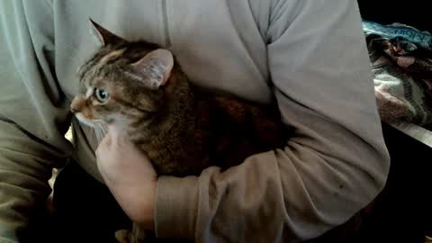 Snapshot of fabius2673 chatting on February 2025 08:54:01 AM Fabius online show from February 2025 08:54:01 AM