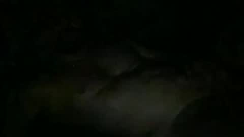 Snapshot of fabx7777 chatting on November 2025 10:31:02 PM FABX online show from November 2025 10:31:02 PM