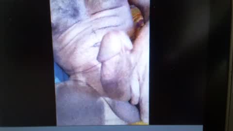 Snapshot of falushp chatting on January 2025 09:50:02 AM falushp online show from January 2025 09:50:02 AM