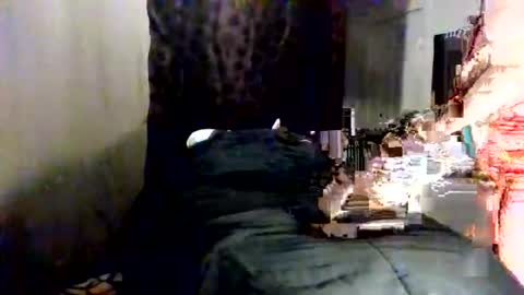 Fancie8 online show from June 2026 10:54:01 PM