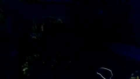 Fancie8 online show from July 2026 09:54:02 PM