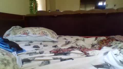 fancy_bellah online show from February 2025 10:54:01 AM