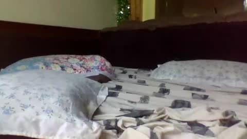 fancy_bellah online show from March 2025 03:05:02 PM