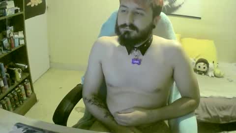 Snapshot of fangtiger chatting on October 2025 08:42:02 PM Kevin online show from October 2025 08:42:02 PM