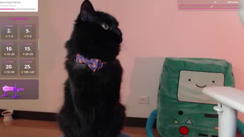  Fantasma.  online show from October 2025 01:13:02 AM