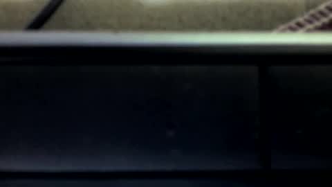 farantsaaly1 online show from February 2025 04:44:02 AM