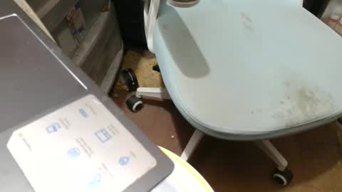 Fred. online show from November 2025 08:53:01 PM