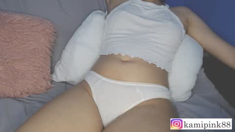 Snapshot of favicam chatting on December 2024 12:42:02 AM kamipink88 online show from December 2024 12:42:02 AM