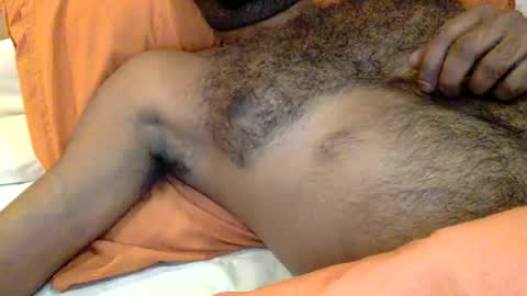 HairyBrownGuy online show from December 2025 05:41:01 PM