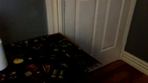 HairyBrownGuy online show from February 2026 01:03:02 PM