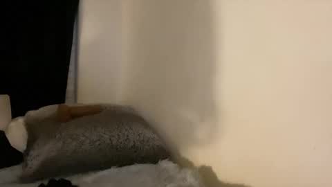 this is justice tricia a bigelow. she was fucking my husband tom girardi online show from February 2026 08:41:01 AM