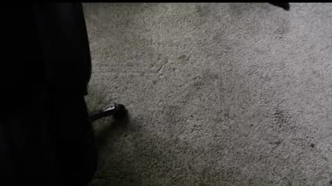 fengshui1982 online show from November 2025 06:22:02 PM