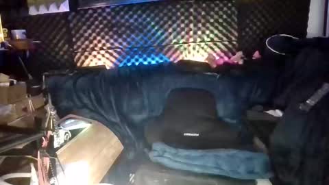fentazymelody online show from May 2026 08:36:02 PM