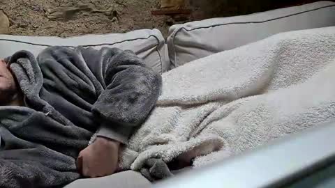 Fid online show from January 2025 10:40:02 AM