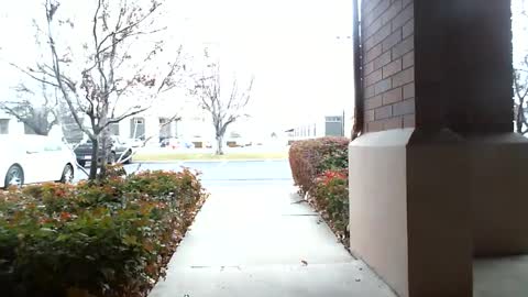 Snapshot of fit_hung_sub chatting on December 2024 05:33:01 PM pain slut daren online show from December 2024 05:33:01 PM