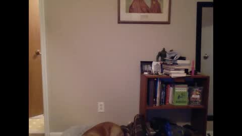 FitBit online show from March 2025 09:46:02 AM