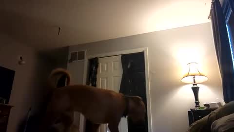 Snapshot of fkmylife6669 chatting on February 2025 01:03:01 PM Nate online show from February 2025 01:03:01 PM