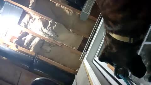 Snapshot of fkmylife6669 chatting on September 2025 02:15:02 AM Nate online show from September 2025 02:15:02 AM