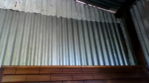 fleussia online show from March 2026 06:51:02 AM