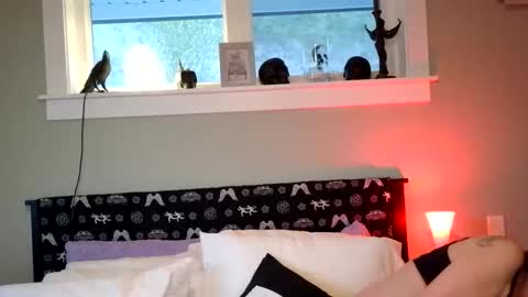 forbiddenwifey online show from April 2026 02:33:01 AM