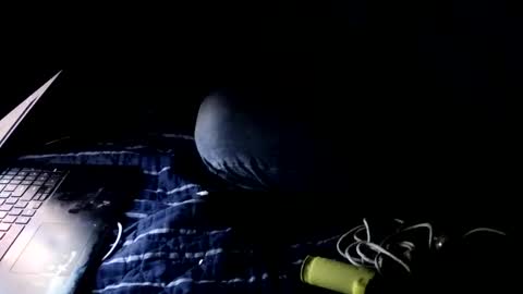 forestnymphpdx online show from October 2025 02:01:02 AM