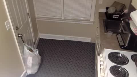 foxdarling96 online show from December 2025 05:36:02 AM