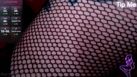 Snapshot of foxrinehelen chatting on January 2025 01:53:01 AM Helen - My streams are Monday - Friday at 8 AM NY time online show from January 2025 01:53:01 AM