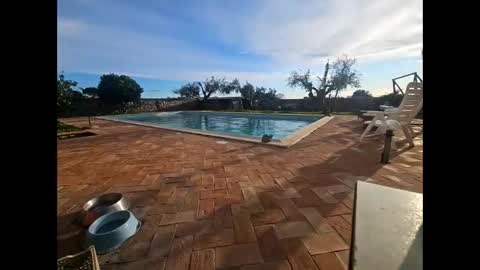 fra  71 online show from March 2026 04:29:02 PM