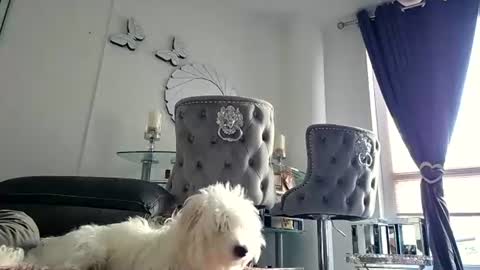 Snapshot of franciscomalin chatting on July 2026 06:55:01 AM franciscomalin online show from July 2026 06:55:01 AM
