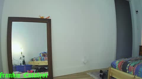 Snapshot of frankiecatalyst chatting on July 2026 01:35:02 PM Frankie Catalyst online show from July 2026 01:35:02 PM