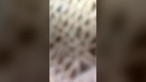 fransicus1988 online show from March 2026 09:46:01 AM