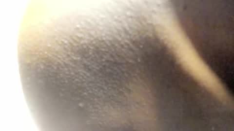 Snapshot of freaky_kandy chatting on March 2026 08:09:01 AM Kandy online show from March 2026 08:09:01 AM