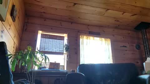 Anderson fz online show from March 2026 08:22:02 PM