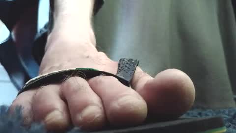 Snapshot of fredthetom12 chatting on February 2026 02:45:01 PM Greedy Fred online show from February 2026 02:45:01 PM