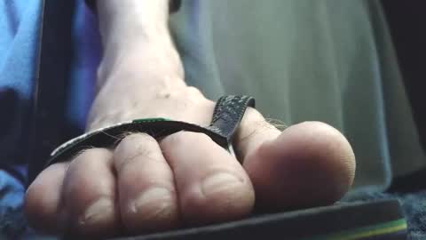 Snapshot of fredthetom12 chatting on February 2026 02:54:01 PM Greedy Fred online show from February 2026 02:54:01 PM