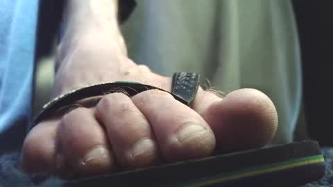 Snapshot of fredthetom12 chatting on February 2026 03:37:02 PM Greedy Fred online show from February 2026 03:37:02 PM