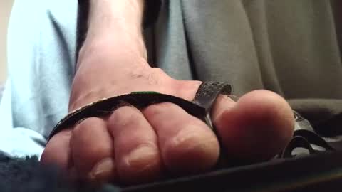 Snapshot of fredthetom12 chatting on February 2026 04:14:02 PM Greedy Fred online show from February 2026 04:14:02 PM