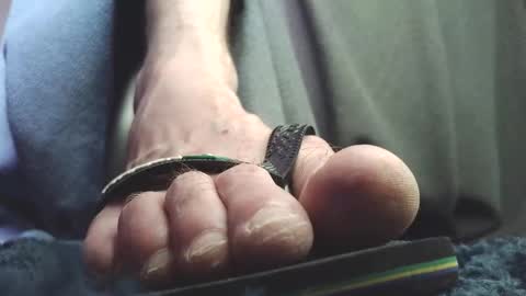 Snapshot of fredthetom12 chatting on February 2026 02:13:01 PM Greedy Fred online show from February 2026 02:13:01 PM