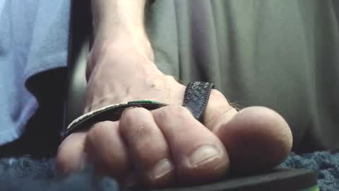 Snapshot of fredthetom12 chatting on February 2026 02:47:02 PM Greedy Fred online show from February 2026 02:47:02 PM