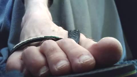 Snapshot of fredthetom12 chatting on February 2026 04:05:02 PM Greedy Fred online show from February 2026 04:05:02 PM