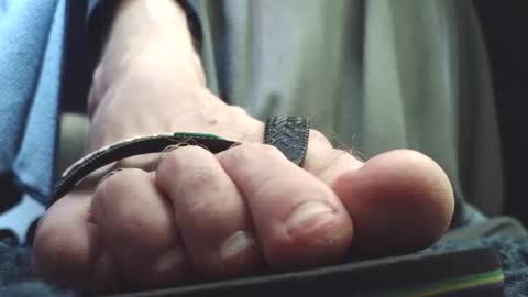 Snapshot of fredthetom12 chatting on February 2026 03:44:02 PM Greedy Fred online show from February 2026 03:44:02 PM