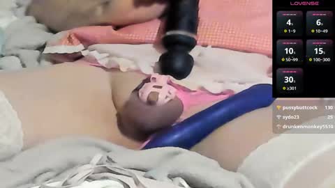 Meadow online show from December 2024 05:53:02 PM