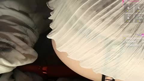 Meadow online show from February 2025 06:08:02 PM