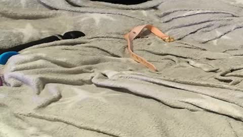 Meadow online show from September 2025 11:26:02 PM