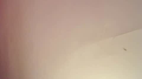 FREYJA LOREN online show from February 2025 08:09:02 PM