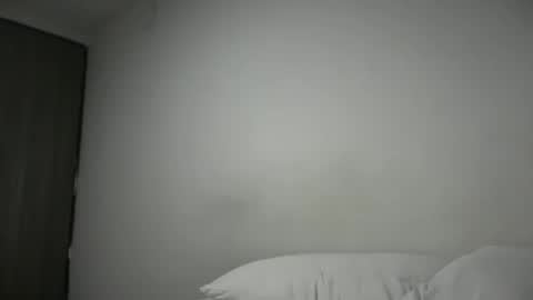 Snapshot of freyva_ chatting on February 2025 04:48:02 AM freyva_ online show from February 2025 04:48:02 AM