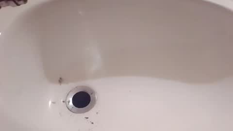 Hornycouple1386 online show from March 2026 08:48:01 PM