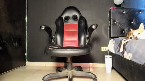 Ricardodominic 1   MODELO INDEPENDIENTE online show from June 2026 06:47:01 PM
