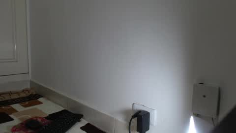 Snapshot of full_milo chatting on January 2025 07:49:01 AM Andres. online show from January 2025 07:49:01 AM